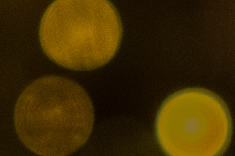 Bokeh 100% | 7Artisans AF 24mm F/1.8 | Nikon Z7II