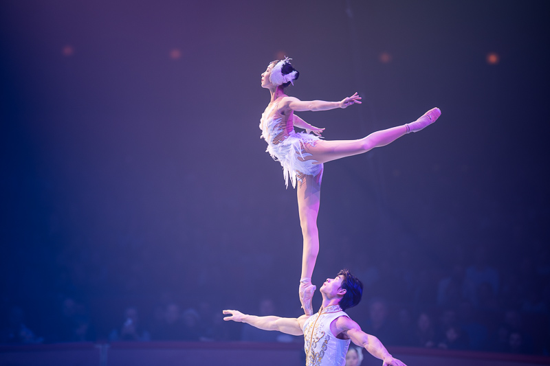 sigma 135mm 1.4 art dg aizu bokeh master sony 42mp 61mp a7rii a7riv a7riii a1 a9iii a7rv review resolution sharpness contrast bokeh vignetting coma astrophotography z6 z7 z8 z9 zf a1 a1ii a9 a9ii l-mount