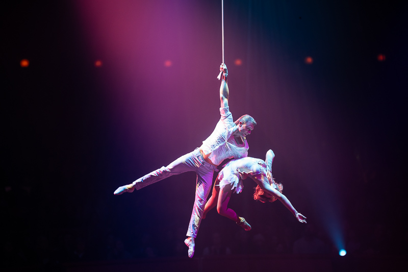 sigma 135mm 1.4 art dg aizu bokeh master sony 42mp 61mp a7rii a7riv a7riii a1 a9iii a7rv review resolution sharpness contrast bokeh vignetting coma astrophotography z6 z7 z8 z9 zf a1 a1ii a9 a9ii l-mount