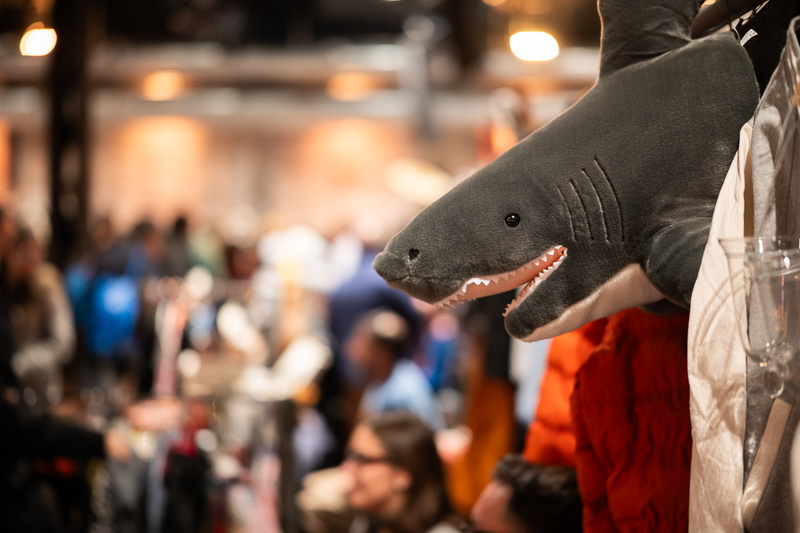 songraw 50mm 1.2 moonlit sony fe gm fullframe fastest lens contrast resolution 33mp 42mp 61mp sharpness vignetting a7riv a7rv a9 bokeh portrait z6 z7 z8 z9 zf z6iii nikon