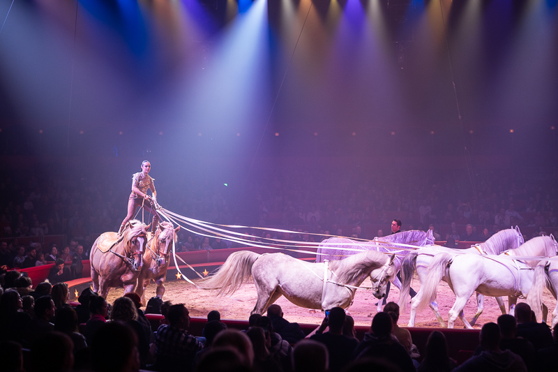 songraw 50mm 1.2 moonlit sony fe gm fullframe fastest lens contrast resolution 33mp 42mp 61mp sharpness vignetting a7riv a7rv a9 bokeh portrait z6 z7 z8 z9 zf z6iii nikon