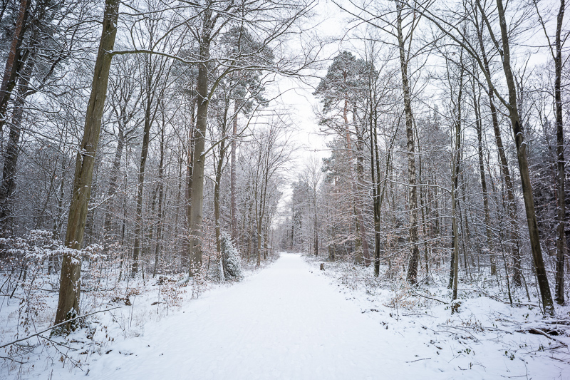 thypoch ksana epoch 73 coating 21mm 3.5 compact leica m10 m11 m9 m8 m10r review 42mp 24mp 61mp contrast sharpness bokeh vignetting limited