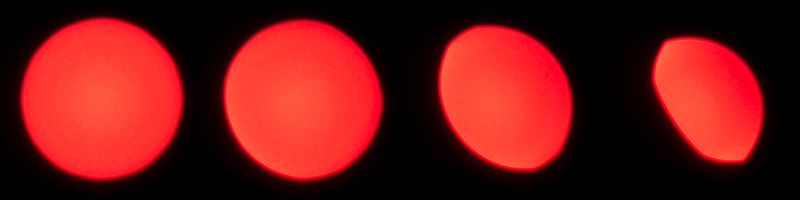 review 7artisans 75mm 1.25 ii f/1.25 china leica m lens contrast resolution m11 m10 42mp 24mp 61mp m6 analogue contrast bokeh vignetting