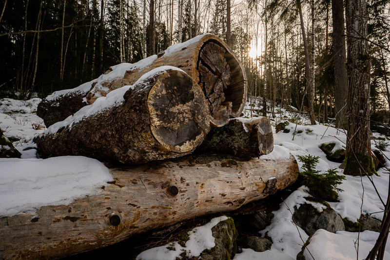 Nikon Zf | Nikon Z 20mm f/1.8 S | f/11