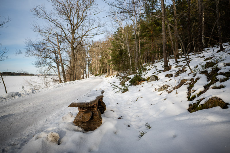 Nikon Zf | Nikon Z 20mm f/1.8 S | f/1.8