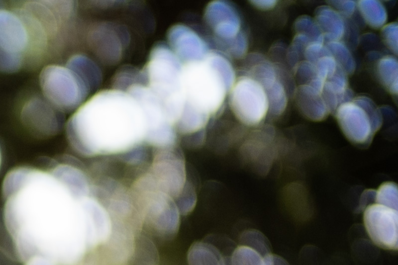 light lens lab 35mm 1.4 nine element 9/5 double aspherical aa dual review leica m10 m11 m9 42mp 24mp cinematic contrast sharpness rendering bokeh film analogue