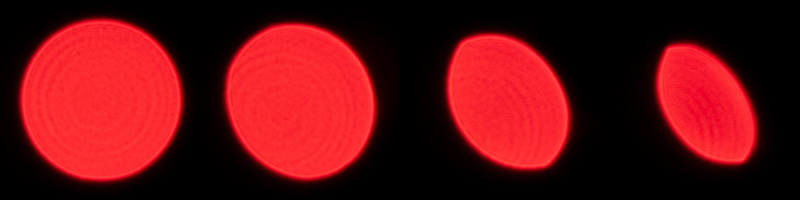 viltrox 35mm 1.8 evo apo fe af bokeh master sony 42mp 61mp a7rii a7riv a7riii a1 a9iii a7rv review resolution sharpness contrast bokeh vignetting coma z6 z7 z8 z9