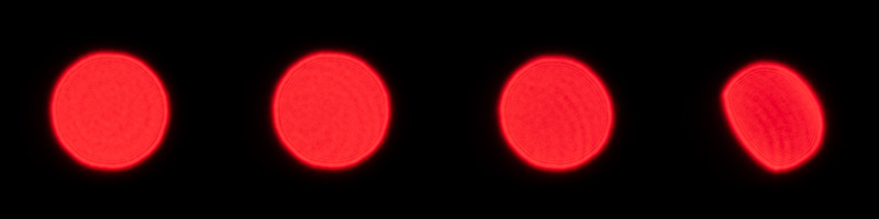 viltrox 35mm 1.8 evo apo fe af bokeh master sony 42mp 61mp a7rii a7riv a7riii a1 a9iii a7rv review resolution sharpness contrast bokeh vignetting coma z6 z7 z8 z9