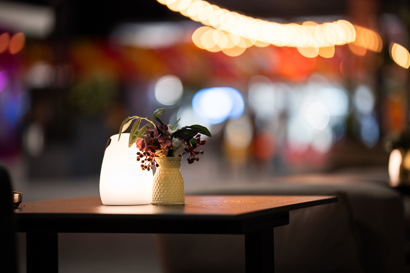 zeiss 100mm 1.4 otus t* germany german high resolution bokeh portrait sharpness resolution lateral ca chromatic aberration aberrations zf z6 z6iii z8 z9 z7 z7ii z6ii 24mp 42mp 61mp sonnar planar