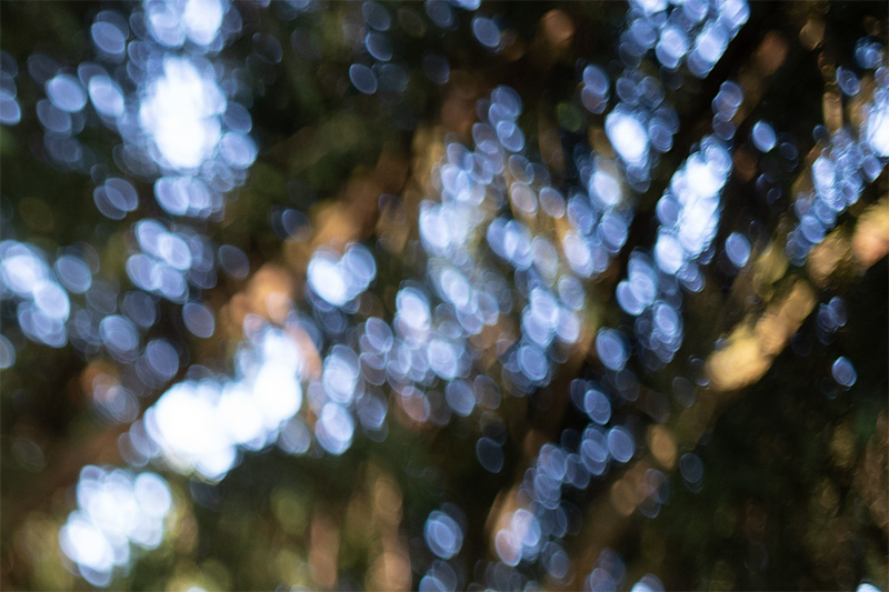 mandler summicron 35mm 2.0 f/2.0 35 seven element 7e review leica m10 m11 m9 42mp 24mp cinematic contrast sharpness rendering bokeh film analogue