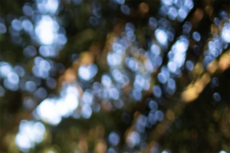 thypoch ksana 35mm 2.0 compact leica m10 m11 m9 m8 m10r review 42mp 24mp 61mp contrast sharpness bokeh vignetting limited evf
