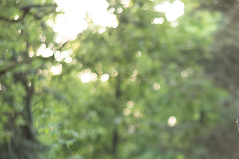 summicron iv 35mm 2.0 f/2.0 35 review leica m10 m11 m9 42mp 24mp cinematic contrast sharpness rendering bokeh film analogue