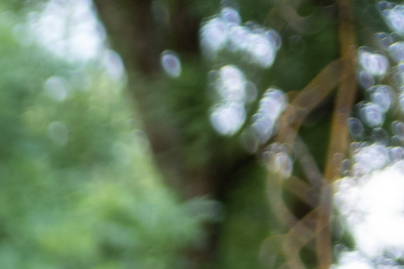 thypoch ksana 35mm 2.0 compact leica m10 m11 m9 m8 m10r review 42mp 24mp 61mp contrast sharpness bokeh vignetting limited evf