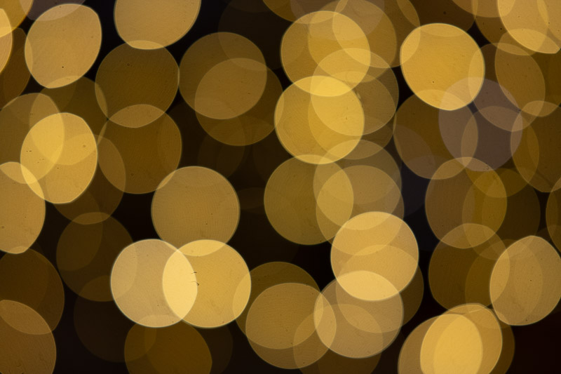 Bokeh | Nikon Z7II | Meike 85mm f/1.4 MIX II | f/1.4