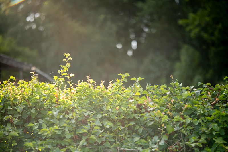 f/1.4