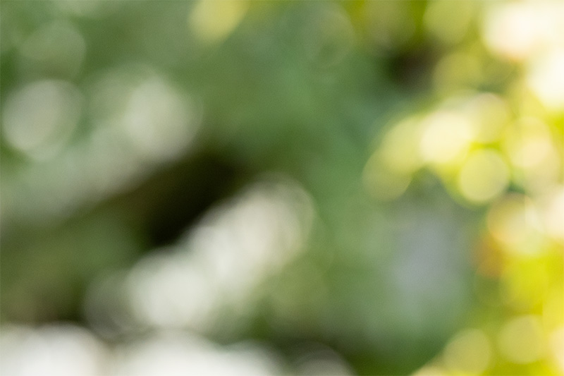 z 135mm 1.8 s plena nikon nikkor prime f/1.8 super fast 42mp 61mp 24mp nikon zf z6iii z8 z7ii z9 review resolution sharpness contrast bokeh vignetting coma AF