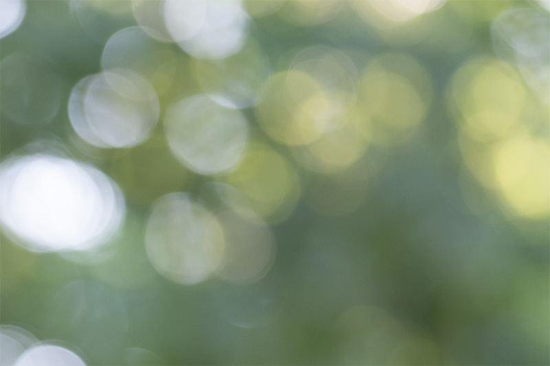 z 135mm 1.8 s plena nikon nikkor prime f/1.8 super fast 42mp 61mp 24mp nikon zf z6iii z8 z7ii z9 review resolution sharpness contrast bokeh vignetting coma AF