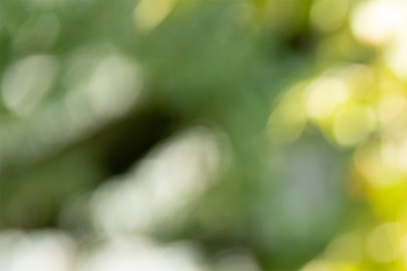 z 135mm 1.8 s plena nikon nikkor prime f/1.8 super fast 42mp 61mp 24mp nikon zf z6iii z8 z7ii z9 review resolution sharpness contrast bokeh vignetting coma AF