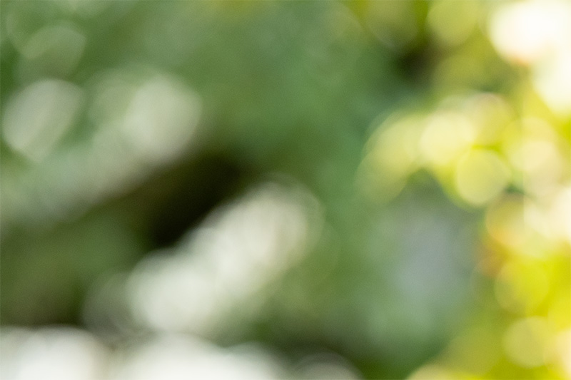 z 135mm 1.8 s plena nikon nikkor prime f/1.8 super fast 42mp 61mp 24mp nikon zf z6iii z8 z7ii z9 review resolution sharpness contrast bokeh vignetting coma AF