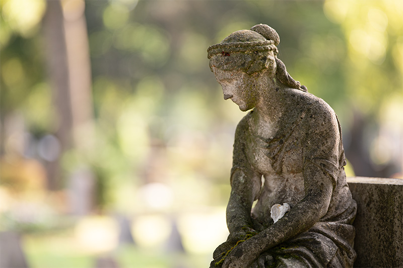 z 135mm 1.8 s plena nikon nikkor prime f/1.8 super fast 42mp 61mp 24mp nikon zf z6iii z8 z7ii z9 review resolution sharpness contrast bokeh vignetting coma AF
