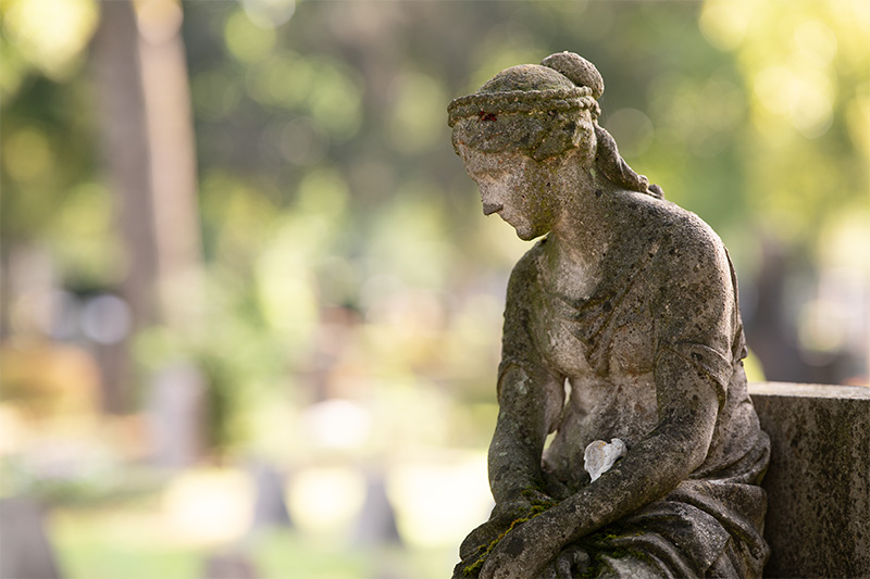 z 135mm 1.8 s plena nikon nikkor prime f/1.8 super fast 42mp 61mp 24mp nikon zf z6iii z8 z7ii z9 review resolution sharpness contrast bokeh vignetting coma AF