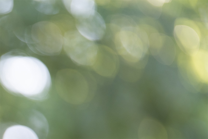 z 135mm 1.8 s plena nikon nikkor prime f/1.8 super fast 42mp 61mp 24mp nikon zf z6iii z8 z7ii z9 review resolution sharpness contrast bokeh vignetting coma AF