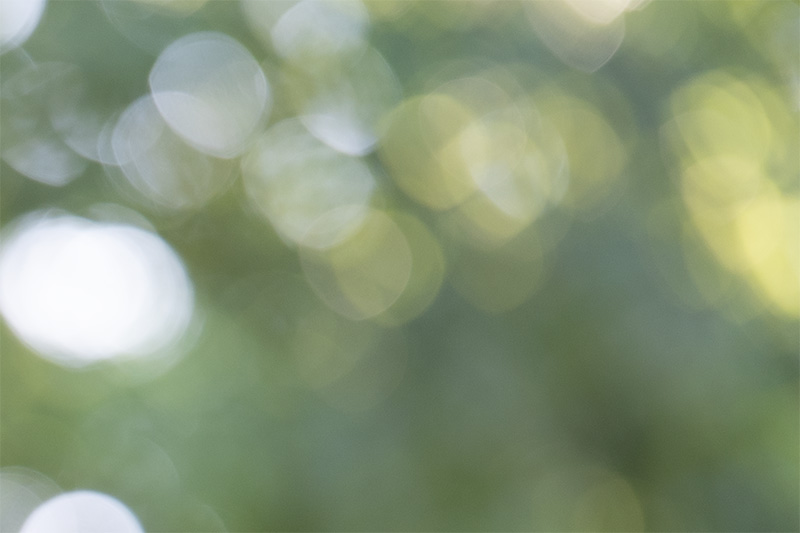 z 135mm 1.8 s plena nikon nikkor prime f/1.8 super fast 42mp 61mp 24mp nikon zf z6iii z8 z7ii z9 review resolution sharpness contrast bokeh vignetting coma AF
