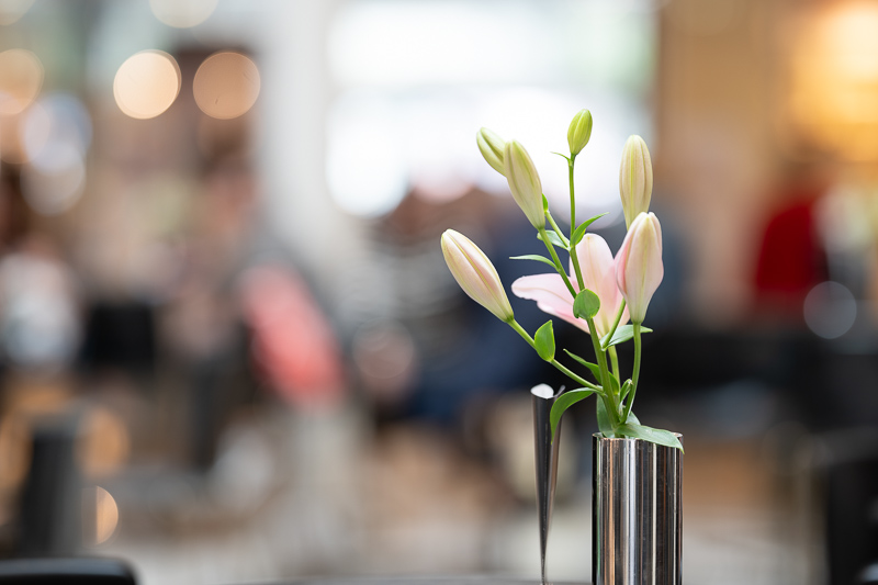 z 135mm 1.8 s plena nikon nikkor prime f/1.8 super fast 42mp 61mp 24mp nikon zf z6iii z8 z7ii z9 review resolution sharpness contrast bokeh vignetting coma AF